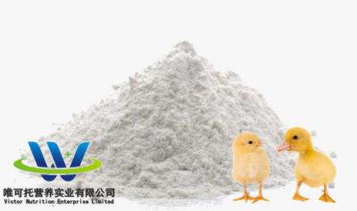 Chine Améliorer la production d'aliments pour animaux avec des additifs L-lysine Produit 5000 tonnes/mois Poudre à vendre