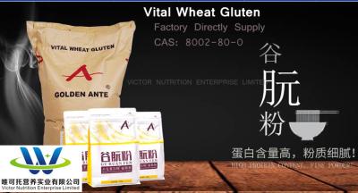 China CAS No. 8002-80-0 Vital Wheat Gluten 25kg/Bag Aerogenic Speed Chronic Baking Powder for sale