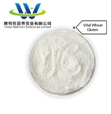 China BV Certification GMP Vital Wheat Gluten Food Grade for Bread Improve Your Bread Sales for sale