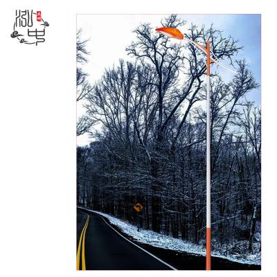 China ROAD 6M8M10M colorful custom light poles outdoor all wattage street light led ip65 for sale