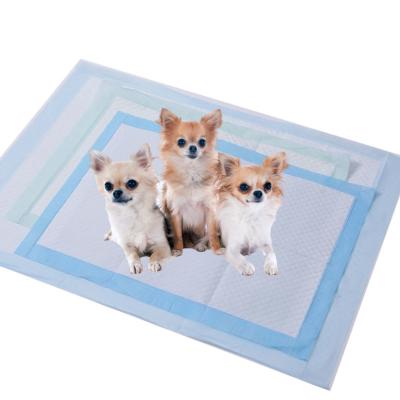 China Eco-vriendelijke wegwerppuppy training pads lekbestendige hoge absorptie pet cat pee pad Te koop