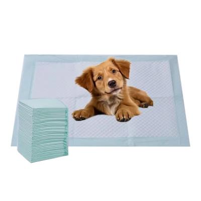 China Disposable Super Absorbent Puppy Training Pads Customized Pee Pad For Large Dogs for sale