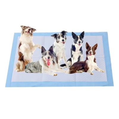 China 5 Layer Leak Proof Puppy Toilet Training Pad Super Absorbent Pee Mats For Cats Dogs for sale