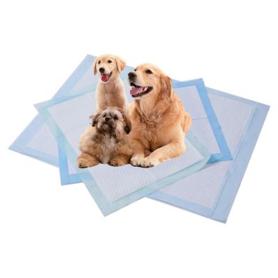 China Eco Friendly Pet Training Pads High Absorbency Extra Large Absorbent Pads For Dogs for sale