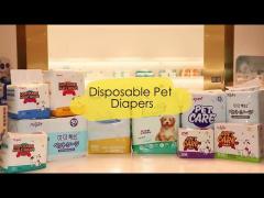 Pet Diaper