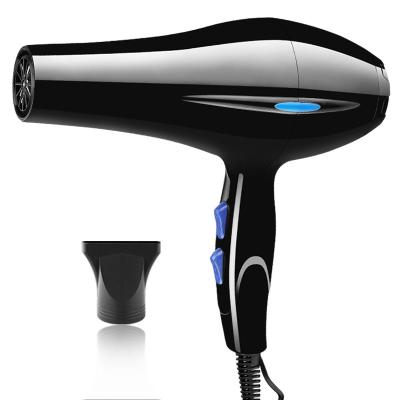 China CHIYU DLY-8020 single air and ion fashionable cold and hot switchingeasy to use hair dryer for sale