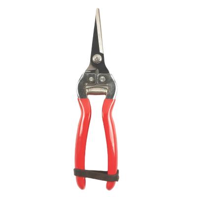 China Anti Slip Handle Garden Scissors , Gardening Shears Pruner Garden Tips Spring Tool for sale