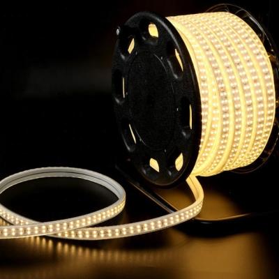 China Outdoor Warm LED Chip Led Strip Lights Outdoor And Indoor IP65 Waterproof 120LEDs/M For House Lighting Decoration for sale