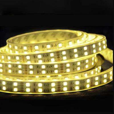 China Super Bright Double Array Bridge Parking And Waterproof Flexible Park Decoration Flat Strip 12V Led Strip Light for sale