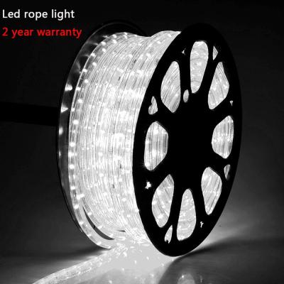 China Commercial Use LED Rope Lights Party Outdoor Waterproof Decorations Street Star DC110V/220V Customize Led Pattern Light Micro Customized for sale