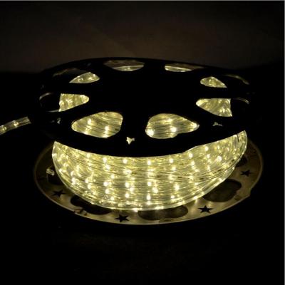 China Warehouse Christmas Light 220V Round Led Rope Light for sale