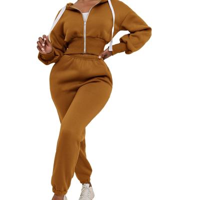 China Viable hoodie set sweatpants and lounge wear custom women apparel sleeve streetwear hoodies hoodies for sale