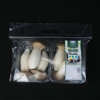 China Security Bag With Transparent In Front PP Bags With Hangers Food Grade Bags for sale