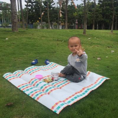 China Accept Portable Custom Design Cheap Outdoor Foldable Picnic Mat Disposable Camping Mat Plastic Beach Mat for sale