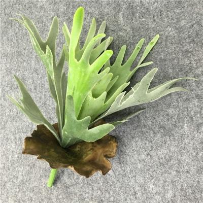 China Modern MOQ 1pcs Artificial Deerhorn potted plant home drawing room decor flowers emulational greenery tropical plastic flower tree for sale