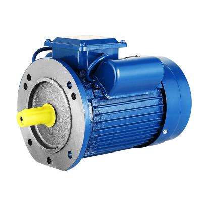 China IP44 220v B5 Single Phase Electric Motor YL Series One Phase Induction Motor 1HP 2HP 3HP 4HP 5HP for sale