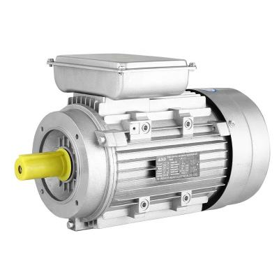 China IP54 YL ALUMINUM-SHELL 220v240V 50hz60hz1400/2800rmp 2hp3hp B14 single phase induction motor for sale