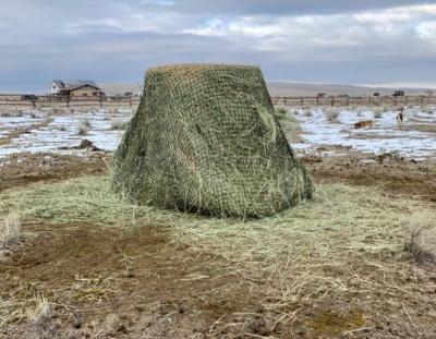 China Forage fixation Factory supply hay net for sale