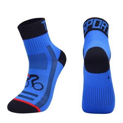 China 2021 High Quality Warm Special Multiple Colour Comfortable Girls Socks for sale