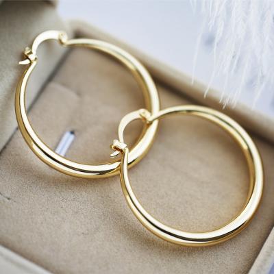 China TRENDY Fashion Classic Gold Plated Big Metal Earrings Hips Hops Punk Round Hoop Earrings for sale