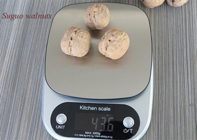 China Northern China Dry Walnut for sale