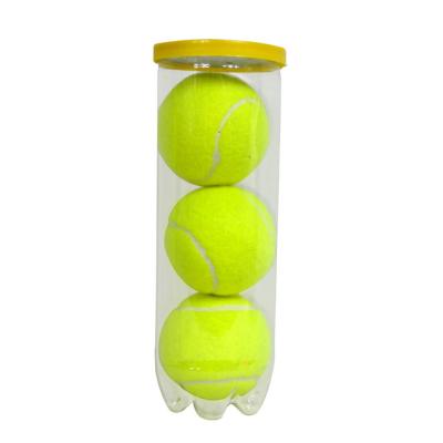 China Playing Cricket Good Quality Boxes Package Cricket Balls Cricket Tennis Ball Tube for sale