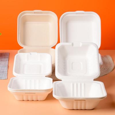 China Disposable Eco-friendly White Biodegradable Sugar Cane Bagasse Pulp Square Lunch Hamburger Box for sale