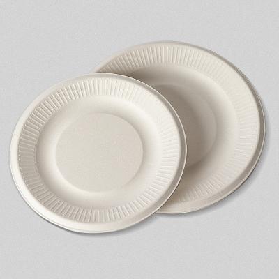 China Eco Friendly Disposable Sugarcane Pulp Dish Set Disposable Tableware and Tableware for Restaurant for sale