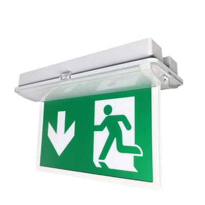 China Emergency Exit 3Hours Duration Emergency Lights Function IP65 PC Material LFP Battery Emergency Exit Self-Test Sign for sale