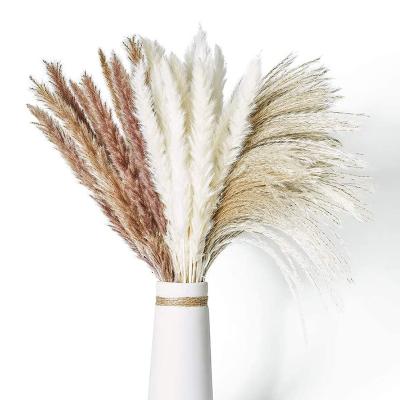 China Bohemian Dry Flower Mix and Match Wedding Amazon Hot Sale Home Decor Simple Dust Reed Simple Dust Bouquet Small for sale