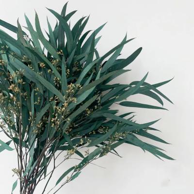 China Wedding Eternal Life Millet Leaves Manufacturers Eucalyptus Wholesale Dried Flower Bouquet for sale