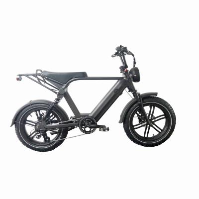 China Aluminum Alloy Professional Manufacturer Full Electric Bike High Speed ​​Cycle Electric Bike for sale