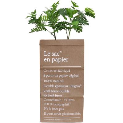 China 3 Size Planter Pot Brown Kraft Paper Home Storage Sustainable Waterproof Bag With Letters For Flower for sale