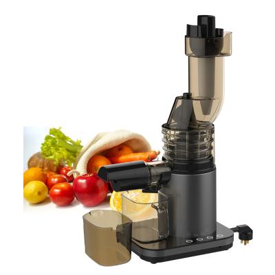 China Hot Selling Powerful Smoothie Cold Celery Sorbert Press Double Auger Motor Juicer Machine Slow Juicer for sale