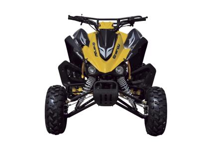 China esporte ATV Kandi da base de roda 250CC de 1250mm com CEE/EPA para o adulto, curso 4 à venda