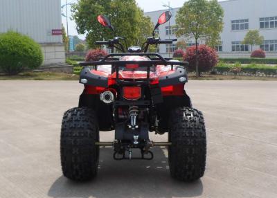 China Power Kids Utility ATV  for sale