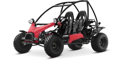 China coche de playa multifuncional de 200CC Ourdoorv CVT que compite con el kart para el adulto en venta