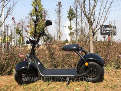 China Neumático gordo grande que coloca la vespa eléctrica Runscooters 60V 1500W para el camino de la escuela en venta