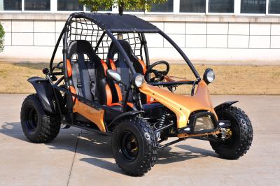 China 150CC Go Kart Dune Buggy Automatic Transmission With Sport Style And Cover for sale