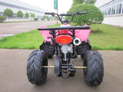 China Mini 125CC One Seat Children ATV Cars , 4 Wheel 2 Stroke ATV for sale