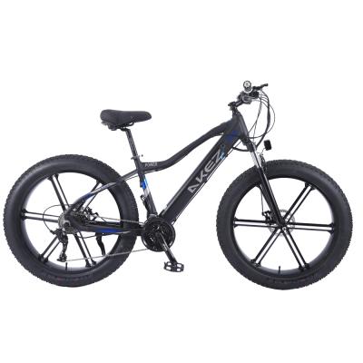 China 48v aluminum alloy battery e bike 750w snow ebike 26 inch fat tire electric bicycle for sale for sale