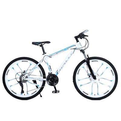 China Fashion Steel Special Hot Selling Custom Logo Carbon Bicycle Price Cheap Bicycle for sale