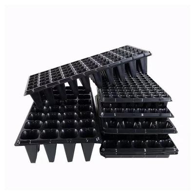 China Black Hole Seedling Tray China Plastic Socket Tray Plastic Manufacturing Succulent Tray for sale