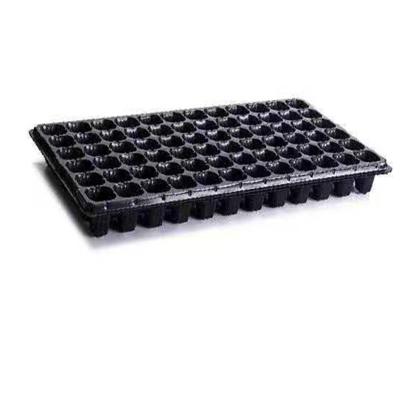 China 2020 plastic agricultural seedling tray of environmental protection, fleshy seedling seedling tray, 105 hole seedling tray for sale