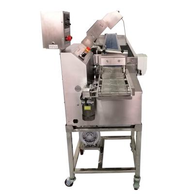 China Convenient High Quality Easy Operation Small Automatic Chocolate Enrobing Machine for sale