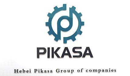 Verified China supplier - Hebei Pikasa Jinchukou Trading Co.,Ltd