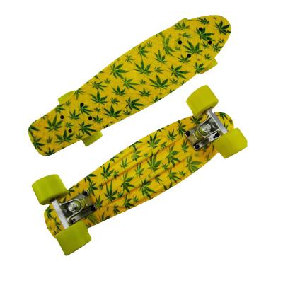 China 4 Wheel Durable Plastic Skateboard 22 In PP Skate Board Fish Board For Kids With LED Wheels for sale