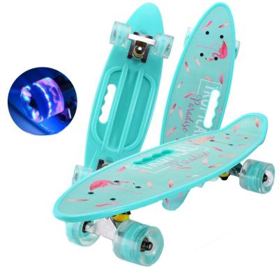 China Hand Hold 24 Inch Complete Plastic Kids Skateboards For Beginners Small Kick Single Skate Fish Board for sale