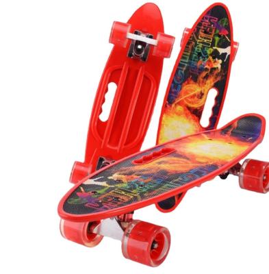 China Hand Hold 24 Inch Plastic Skateboard Four Wheels Fish Skate Wholesale Custom Panels for sale