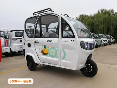 China Grote Ruimte Elektrische Passagiersweg Met drie wielen Wettelijke Elektrische Ingesloten Trike Te koop